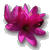 Ixia